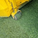 백사체육공원 이미지