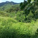 뉴한길공인중개사사무소 이미지