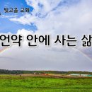 1월23일(금) 언약 안에 사는 삶 이미지