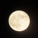 우암동 도시숲 이미지