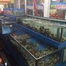 갯마을해물손칼국수 이미지