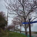 나불도 승마랜드 이미지