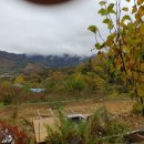 구적골농원 이미지