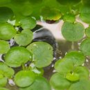 참사랑한약국 이미지