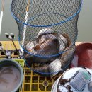 송말낚시터 이미지