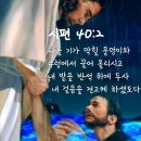 29차의의나무집화 둘제날 이미지