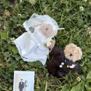 꼬마작가들의감성놀이터 | 꼬마떼 스냅+와이터 스튜디오+노을공원=나의 결혼 사진 완성👰🏻‍♀️🤵🏻