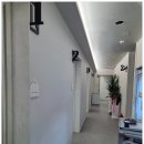 주식회사 월드가스 | 포항 생선회 음식점 '지혜횟집' 피스월드 언더렌지 언더인덕션 설치 사례!