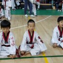 호원태권도체육관 이미지