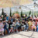 나비야놀자 이미지