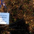 이순신장군 백의종군로 이미지