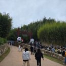 산오름공원 | 담양 죽녹원 대나무축제 애견동반 가볼만한곳 죽순빵