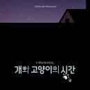 개와고양이의생각 - 도봉구 방학로10길 9 | 개와고양이의생각