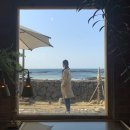 청솔문구사
