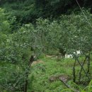 순화농장 이미지