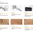 주식회사상상바이오 이미지