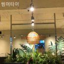 썸머타이