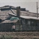 청춘-숲속의 섬, 네이버블로그