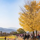 오늘의 경주 이미지