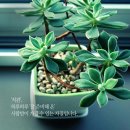 아이스타빌