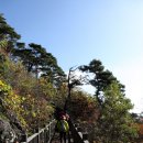 오감연결길 이미지