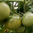 이승민농장 이미지