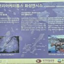 평원애견 이미지