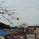 서도면사무소 이미지