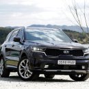 카니코리아 이미지