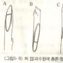 도서출판 블루베리