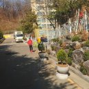 단대로23번길 이미지