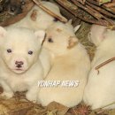 공간 -모정 이미지