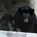 동원농장 2 이미지