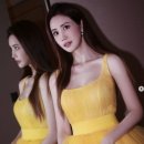 이다해 카카오 검색결과