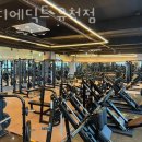 바디에딕트 이미지