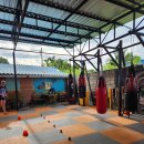 THE 파란 | 태국 치앙마이-올드타운 더베어 파이팅클럽 무에타이클래스 후기 The bear fight club Muaythai