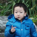 태경 Daum카페