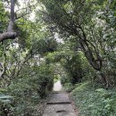 주공공원AP1(공원입구 전주) | 6월 대만 타이페이 3박 4일 여행 따끈따끈한 후기 -3- (예스지 투어/ 난지창 야시장 / 까르푸 추천템(1)