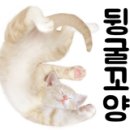 청이해 이미지