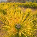 보광농원 이미지