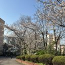 멘토르당구장 이미지