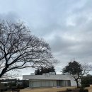 뜨레어린이집 | 제주 키즈 풀빌라 펜션 뜨레시옷' 넓은 잔디 마당까지...함께하기 너무 좋았던 내돈내산 만족 방문 후기