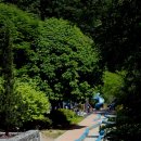 안동자연유치원 이미지