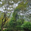 금대에코힐링캠핑장(주차장) | [캠핑여행]아이와 첫 캠핑🏕 원주 치악산국립공원 금대에코힐링캠핑장(금대야영장)