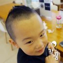 머리가꿈