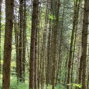 오늘하루가 이미지