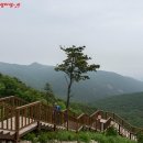 [부산대표산/부산의명산] 너덜겅과 해송이 많은 부산의 세번째로 높은 해운대 "장산" 이미지