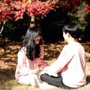 원대 수목원 이미지