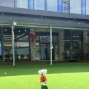 헤이댕댕 이미지