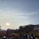 해도랜드 | (내돈내산) 용인 에버랜드 후기 | 꼭 오픈런 안 해도 된다! 오히려 오후 방문이 더 만족스러웠던 이유